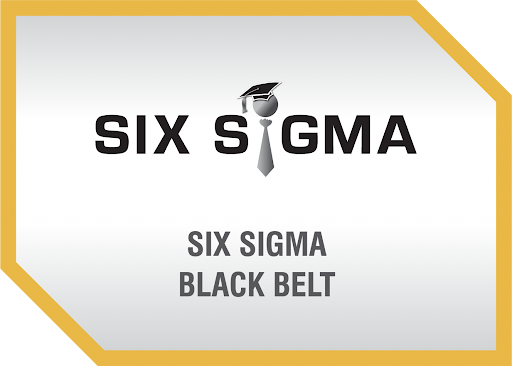 Career Paths For Six Sigma Black Belts: From Practitioner To Leader