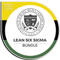 Lean Six Sigma Bundle